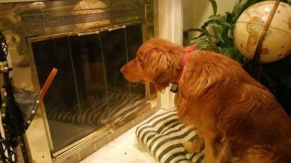 FB_IMG_1493399743567