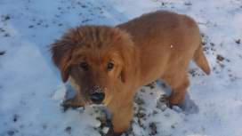 FB_IMG_1493399900762